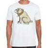 Mens Softstyle Tee Shirt Thumbnail