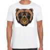 Mens Softstyle Tee Shirt Thumbnail