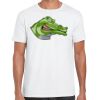 Mens Softstyle Tee Shirt Thumbnail