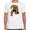 Mens Softstyle Tee Shirt Thumbnail