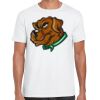 Mens Softstyle Tee Shirt Thumbnail