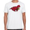 Mens Softstyle Tee Shirt Thumbnail