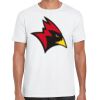 Mens Softstyle Tee Shirt Thumbnail