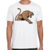 Mens Softstyle Tee Shirt Thumbnail