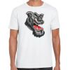 Mens Softstyle Tee Shirt Thumbnail