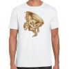 Mens Softstyle Tee Shirt Thumbnail