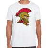 Mens Softstyle Tee Shirt Thumbnail